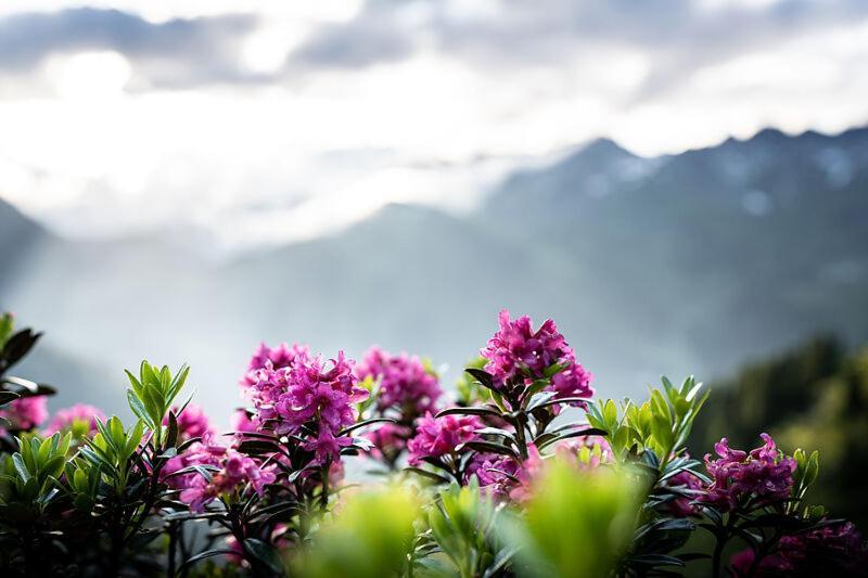 Hüttl Frühstückspension St. Anton am Arlberg